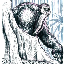 Mapinguari, the terror of the Amazon, a creature from brazilian folklore. A big ape-like creature with dark, thick fur, it emits terrible howls that can be heard across the jungle. His tough skin makes it nearly invincible - the only soft spot near its belly-button. Some say very old shamans can become Mapinguaris.