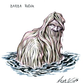Barba-Ruiva/Red Beard, a character from brazilian folklore. An abandoned baby in a lake, he became an enchated being with red hair that comes sometimes out of the water. It is said to be neutral and to live in a lake in northeastern Brazil.