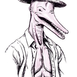 Boto, a character from brazilian folklore. It is said the male Amazon River Dolphin, also known in Brazil as boto-cor-de-rosa (pink dolphin) sometimes becomes a handsome man at night. This "man" always wears a hat to cover its dolphin nose. When it transforms, it usually goes to a party and dances with all girls, seducing them, later returning to the river to become a dolphin again. And from these romances sometimes a child is born, having no human father but a magical water creature as a parent.